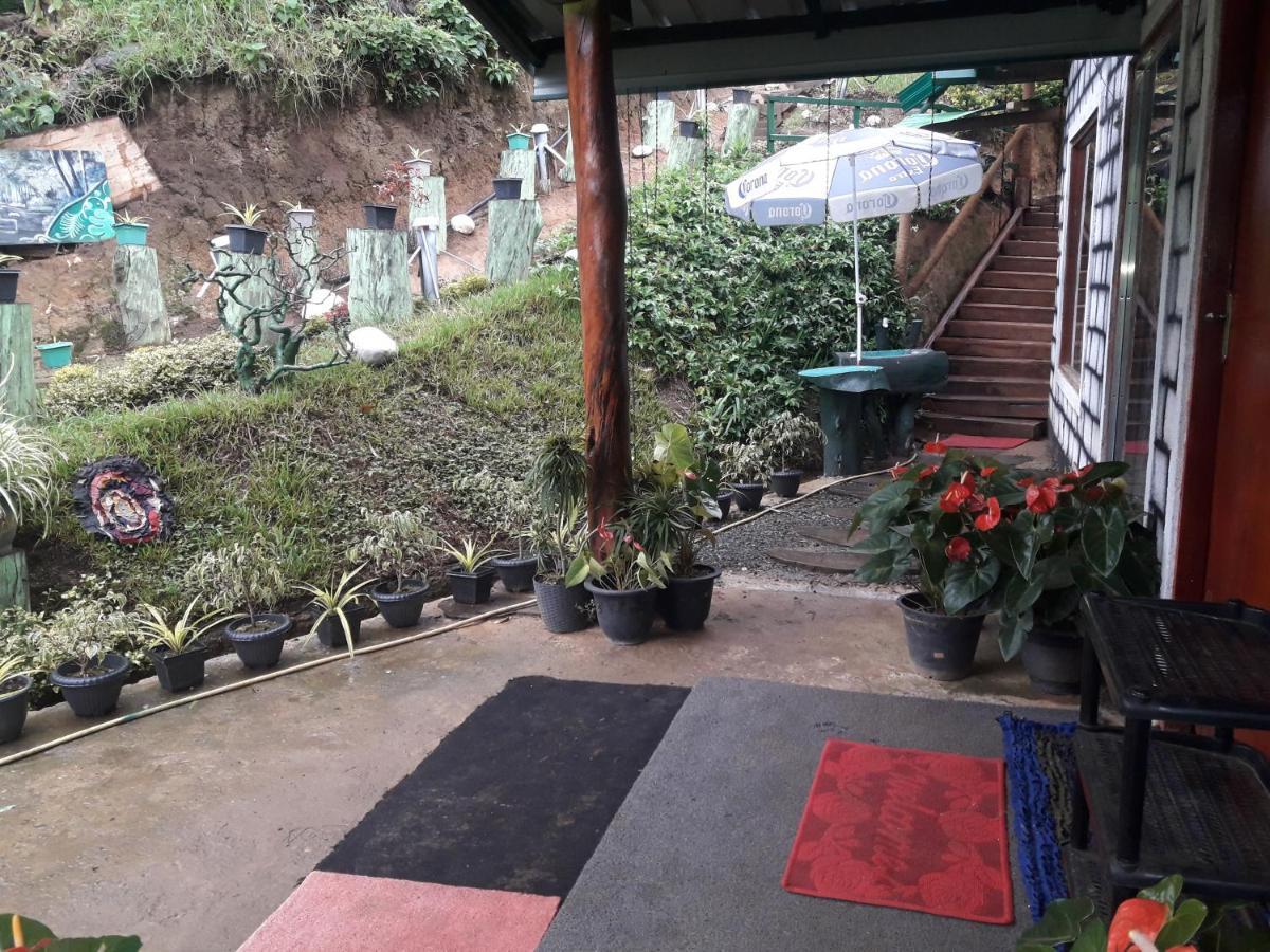 Ohiya Jungle Resort Ngoại thất bức ảnh
