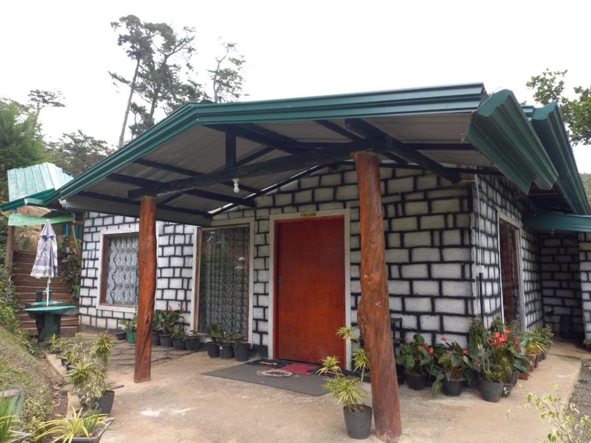 Ohiya Jungle Resort Ngoại thất bức ảnh