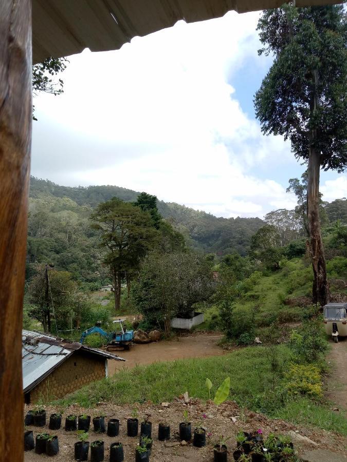 Ohiya Jungle Resort Ngoại thất bức ảnh